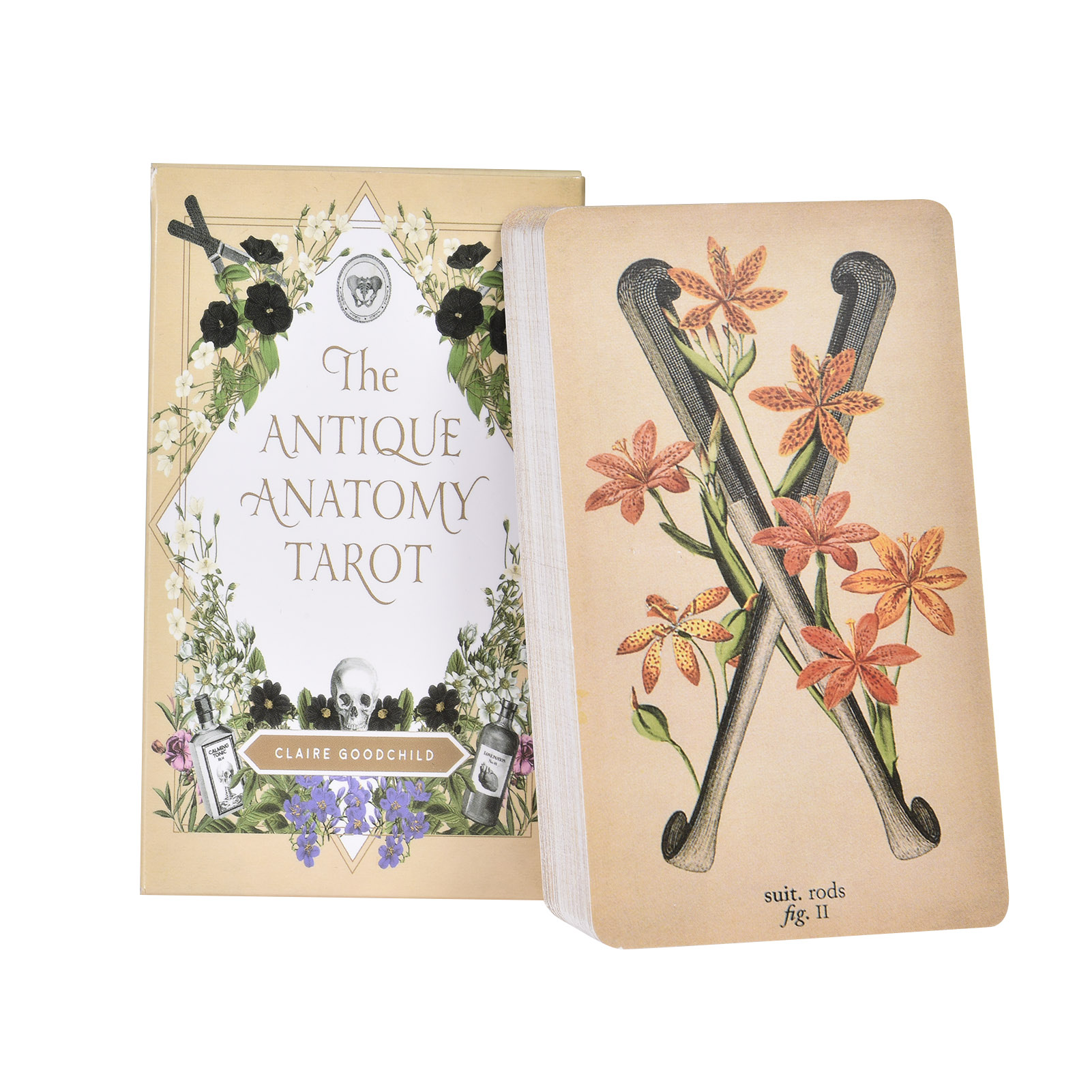 Tarot Cards Deck With Guidebook - Les Cartes de Tarot « Anatomy